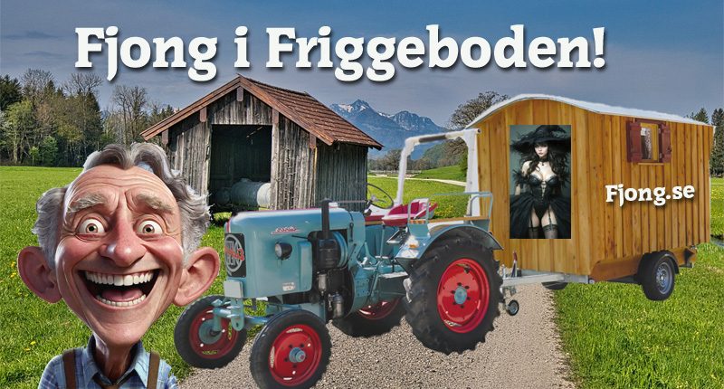 fjong i friggeboden
