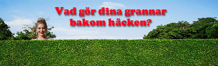 vad gör dina grannar?